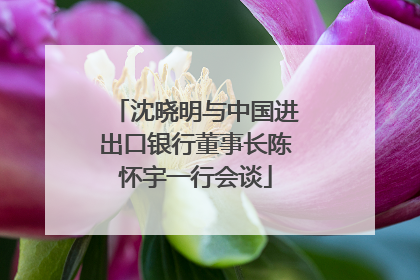 沈晓明与中国进出口银行董事长陈怀宇一行会谈