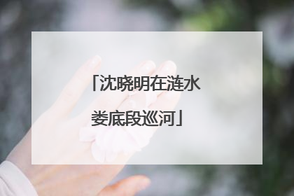 沈晓明在涟水娄底段巡河