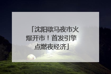 沈阳歇马夜市火爆开市！首发引擎点燃夜经济