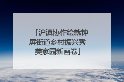 沪滇协作绘就钟屏街道乡村振兴秀美家园新画卷