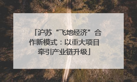 沪苏“飞地经济”合作新模式：以重大项目牵引产业链升级
