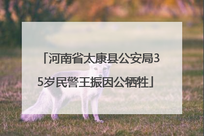 河南省太康县公安局35岁民警王振因公牺牲