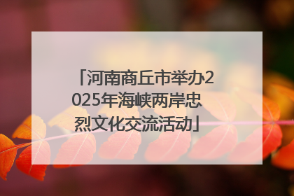 河南商丘市举办2025年海峡两岸忠烈文化交流活动