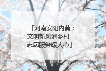 河南安阳内黄：文明新风润乡村 志愿服务暖人心