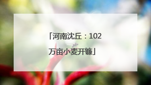 河南沈丘：102 万亩小麦开镰