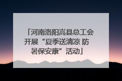 河南洛阳嵩县总工会开展“夏季送清凉 防暑保安康”活动