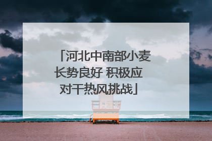 河北中南部小麦长势良好 积极应对干热风挑战