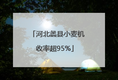 河北蠡县小麦机收率超95%
