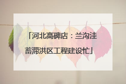河北高碑店：兰沟洼蓄滞洪区工程建设忙