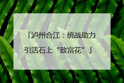 泸州合江：统战助力引活石上“致富花”
