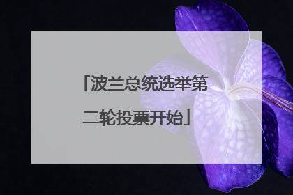 波兰总统选举第二轮投票开始