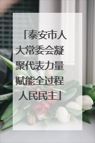 泰安市人大常委会凝聚代表力量赋能全过程人民民主