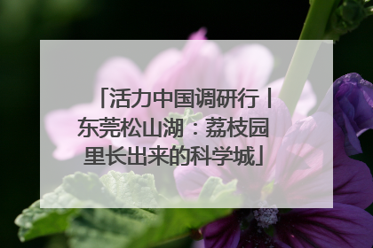 活力中国调研行丨东莞松山湖：荔枝园里长出来的科学城