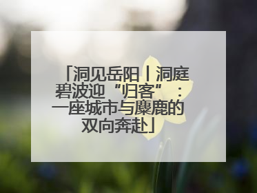 洞见岳阳丨洞庭碧波迎“归客”：一座城市与麋鹿的双向奔赴