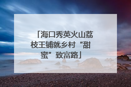 海口秀英火山荔枝王铺就乡村“甜蜜”致富路
