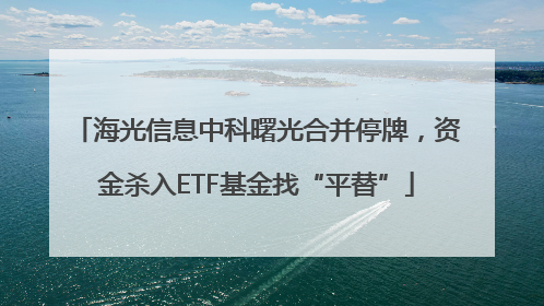海光信息中科曙光合并停牌，资金杀入ETF基金找“平替”