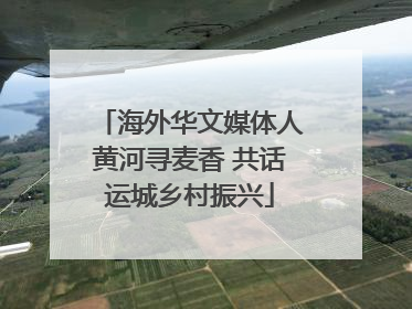 海外华文媒体人黄河寻麦香 共话运城乡村振兴