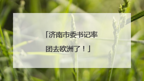 济南市委书记率团去欧洲了！