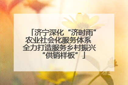 济宁深化“济时雨”农业社会化服务体系 全力打造服务乡村振兴“供销样板”