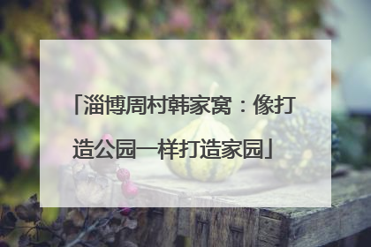 淄博周村韩家窝：像打造公园一样打造家园