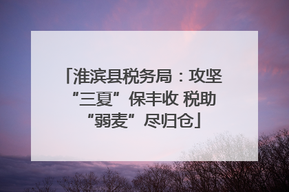 淮滨县税务局：攻坚“三夏”保丰收 税助“弱麦”尽归仓