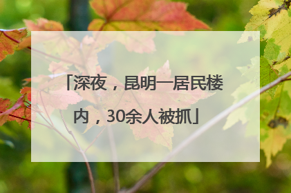 深夜，昆明一居民楼内，30余人被抓