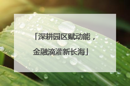 深耕园区赋动能，金融滴灌新长海