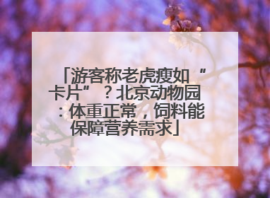 游客称老虎瘦如“卡片”？北京动物园：体重正常，饲料能保障营养需求