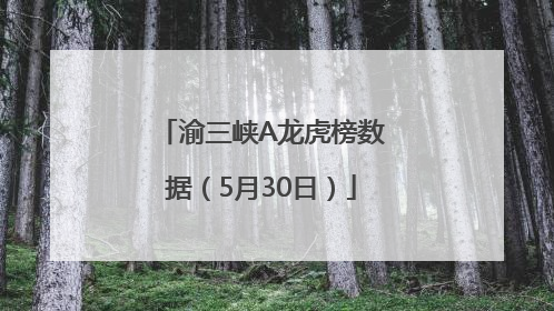 渝三峡A龙虎榜数据（5月30日）