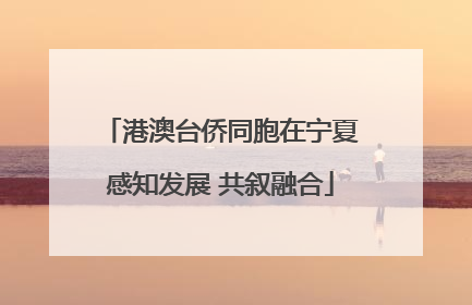 港澳台侨同胞在宁夏感知发展 共叙融合