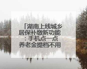 湖南上线城乡居保补缴新功能：手机点一点 养老金提档不用跑腿