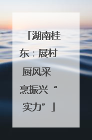 湖南桂东：展村厨风采 烹振兴“实力”
