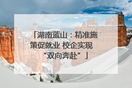 湖南蓝山：精准施策促就业 校企实现“双向奔赴”