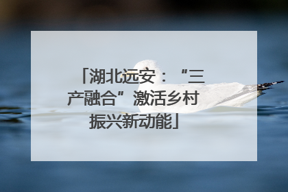 湖北远安：“三产融合”激活乡村振兴新动能
