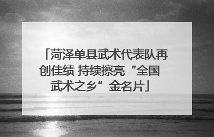 菏泽单县武术代表队再创佳绩 持续擦亮“全国武术之乡”金名片