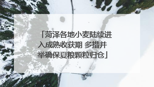 菏泽各地小麦陆续进入成熟收获期 多措并举确保夏粮颗粒归仓