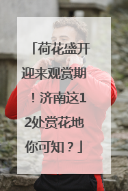 荷花盛开迎来观赏期！济南这12处赏花地你可知？
