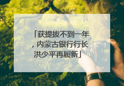 获提拔不到一年，内蒙古银行行长洪少平再履新