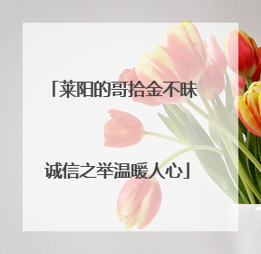 莱阳的哥拾金不昧 诚信之举温暖人心