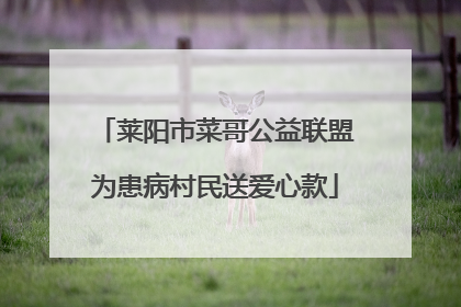 莱阳市菜哥公益联盟为患病村民送爱心款