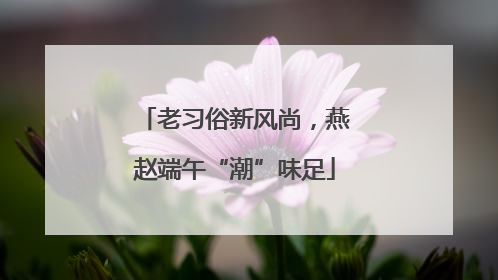 老习俗新风尚，燕赵端午“潮”味足