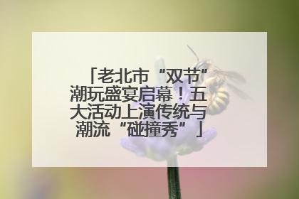 老北市“双节”潮玩盛宴启幕！五大活动上演传统与潮流“碰撞秀”