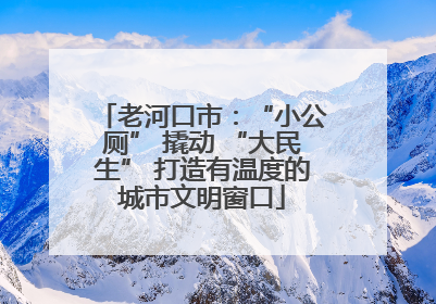 老河口市：“小公厕” 撬动 “大民生” 打造有温度的城市文明窗口