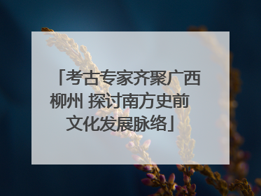 考古专家齐聚广西柳州 探讨南方史前文化发展脉络