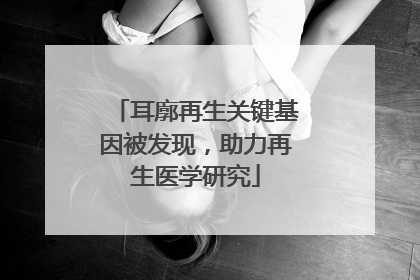耳廓再生关键基因被发现，助力再生医学研究