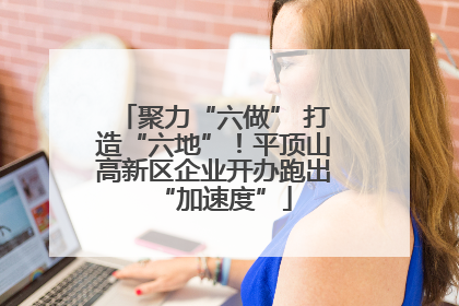 聚力“六做” 打造“六地”！平顶山高新区企业开办跑出“加速度”