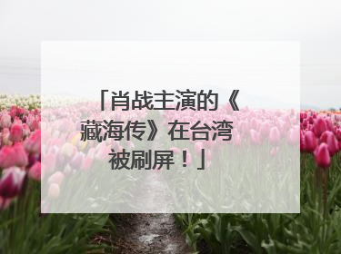 肖战主演的《藏海传》在台湾被刷屏！