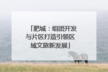 肥城：组团开发与片区打造引领区域文旅新发展