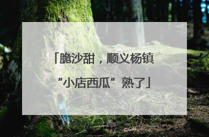 脆沙甜，顺义杨镇“小店西瓜”熟了