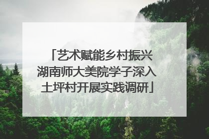 艺术赋能乡村振兴 湖南师大美院学子深入土坪村开展实践调研